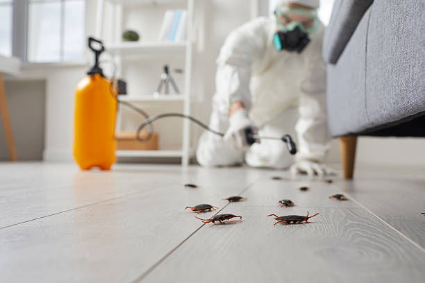 Commercial Kitchen Cockroach Control in Chesterland